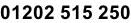 01202 515 250