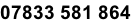 07833 581 864